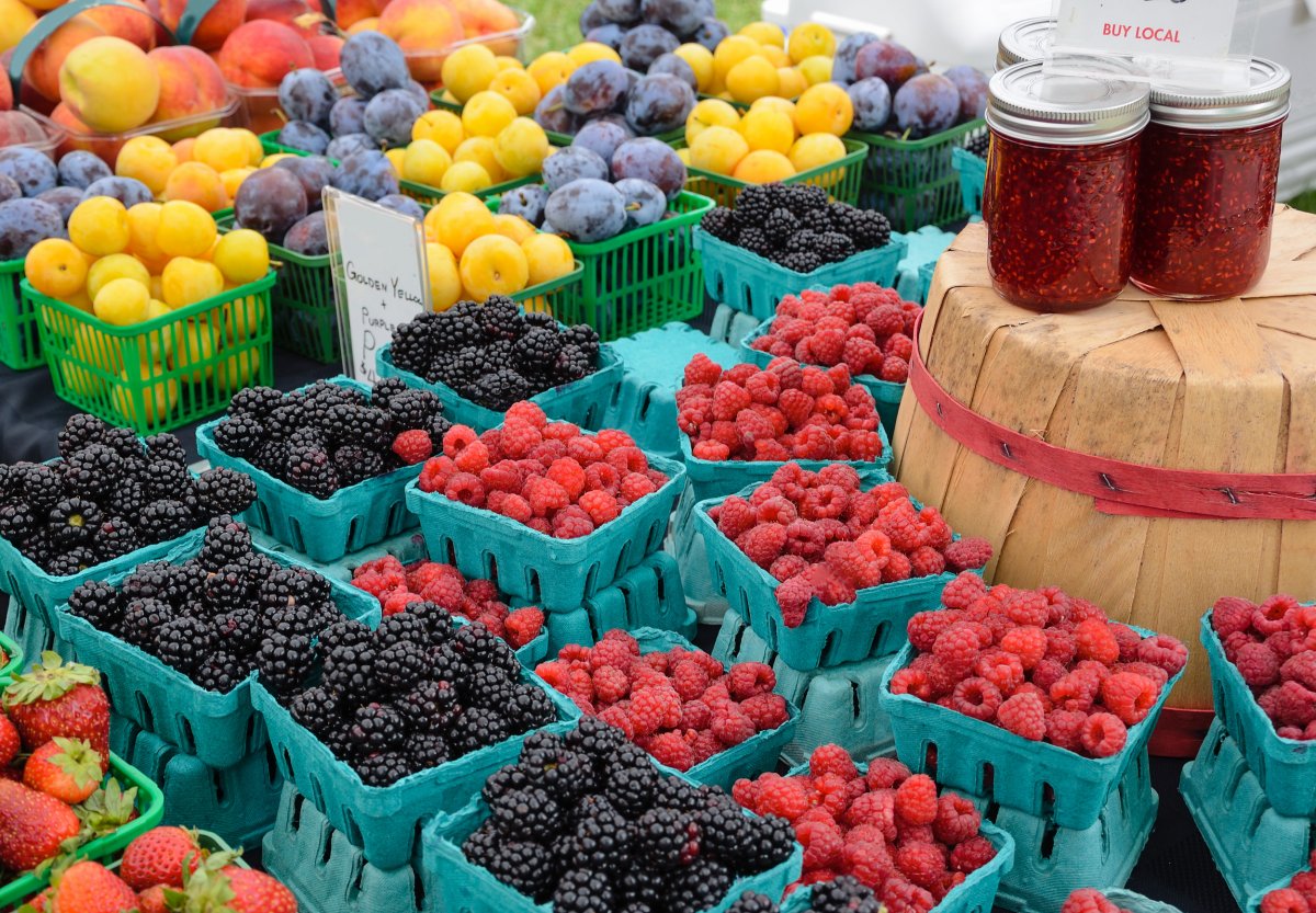 From farm to fork: The ultimate cheat sheet for farmers’ market newbies