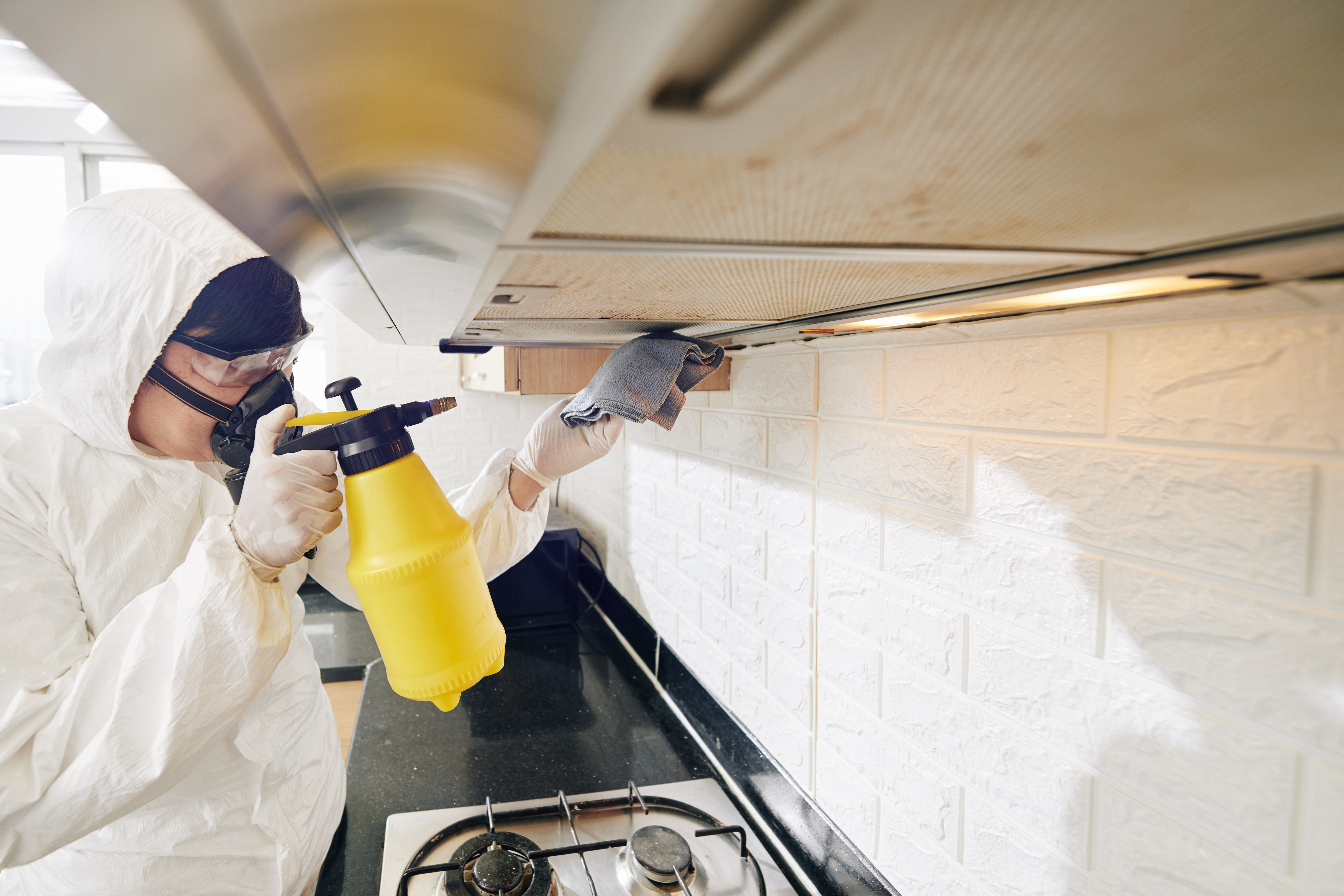 The unwelcome housemates: Spotting pest problems before they settle in